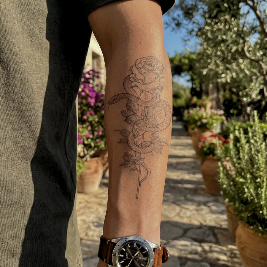 Serpiente y Rosa