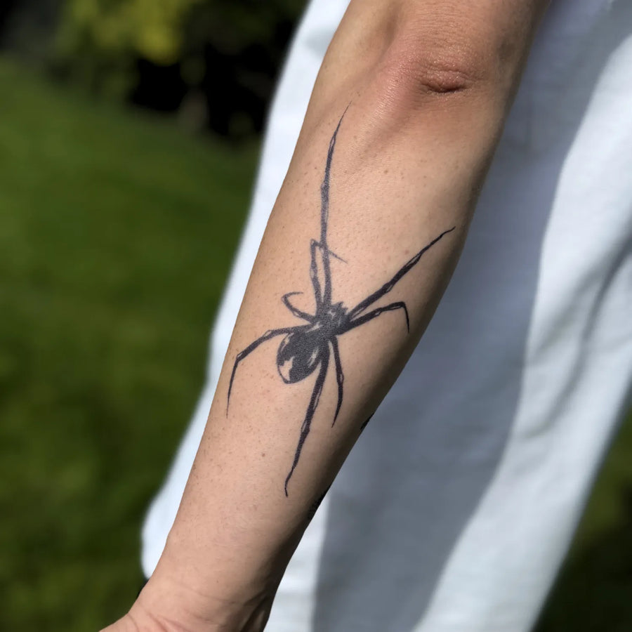 Araña arrastrándose